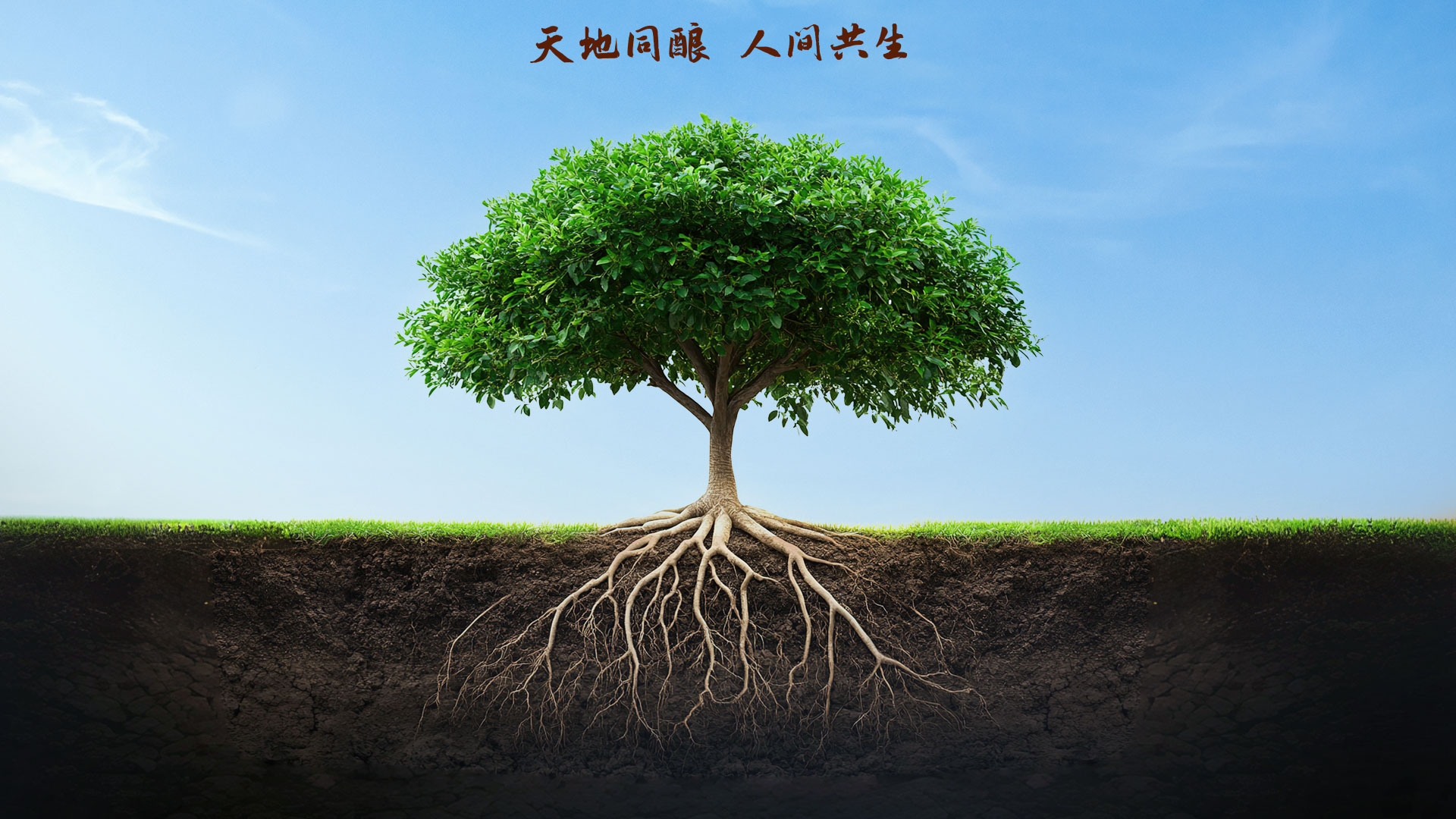 沙巴体育·(中国)官方网站 - APP下载