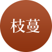 沙巴体育·(中国)官方网站 - APP下载